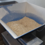 ris-brew_020