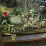 la-zoo_7049