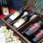 beer-wine-festival_046