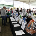 beer-wine-festival_111