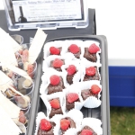 beer-wine-festival_053