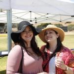 beer-wine-festival_336