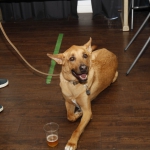 party2018_049