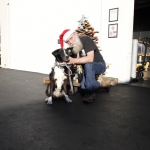 holiday-party_008