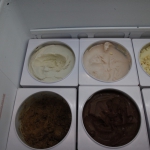 ice-creams_015