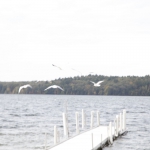 scenery011