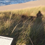lake-superior008