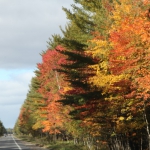 nwmichigan010