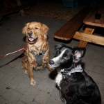 boss-rambler-beer-club_016