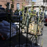 side-a-brewing_012