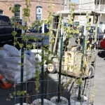 side-a-brewing_013