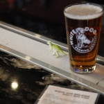 white-dog-brewing_019