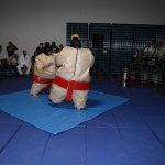 sumo-showdown_189