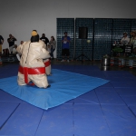 sumo-showdown_190