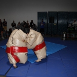 sumo-showdown_194