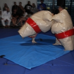 sumo-showdown_197