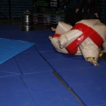 sumo-showdown_198