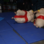 sumo-showdown_200