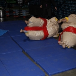 sumo-showdown_200