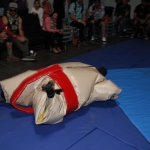 sumo-showdown_208