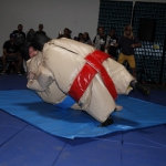 sumo-showdown_216