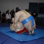 sumo-showdown_220