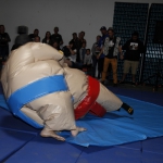 sumo-showdown_221