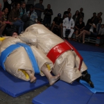 sumo-showdown_223