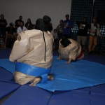 sumo-showdown_225