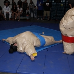 sumo-showdown_239