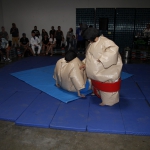 sumo-showdown_240