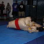 sumo-showdown_247