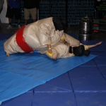 sumo-showdown_248