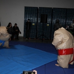 sumo-showdown_254