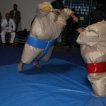 sumo-showdown_255