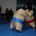 sumo-showdown_256