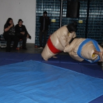 sumo-showdown_257