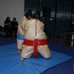 sumo-showdown_260