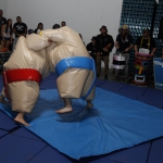 sumo-showdown_308