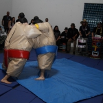 sumo-showdown_309