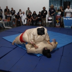 sumo-showdown_315