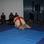 sumo-showdown_342