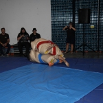 sumo-showdown_343