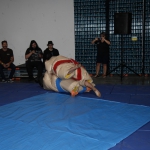 sumo-showdown_343