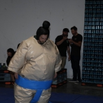 sumo-showdown_352