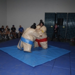 sumo-showdown_361