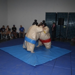 sumo-showdown_362