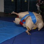 sumo-showdown_372