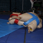 sumo-showdown_373