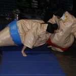 sumo-showdown_375